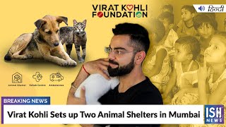 Virat Kohli Sets up Two Animal Shelters in Mumbai