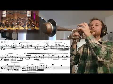 Harry Potter theme on trumpet... but it's the violin part