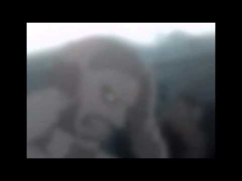 BOOMING - ÉTRE SUPREME · CORVUS · RUBE XVYV · JOEY RODRIGUEZ