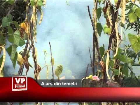 A ars din temelii