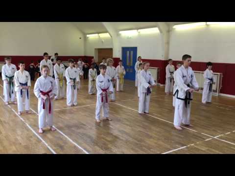 Junior Taekwon-Do Class Pattern - Saju Makgi