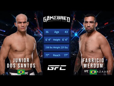 Junior Dos Santos vs Fabricio Werdum full fight
