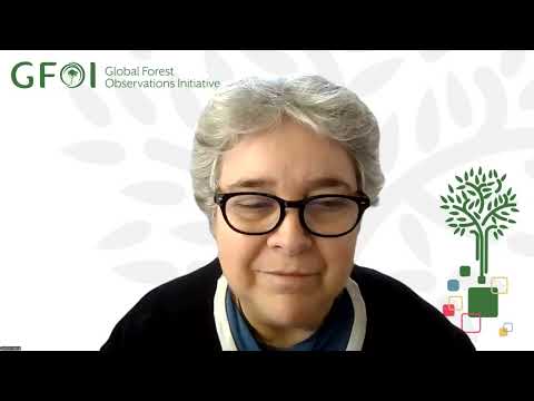 Tercer foro virtual “Conectar y reflexionar”: Modalidades de financiación de los SNMF