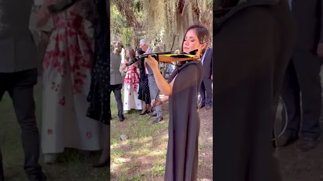 🎻🦋 Lolitaviolín 🦋🎻 #violinista #electricviolinist #bodas #violincover  #bodascolombia