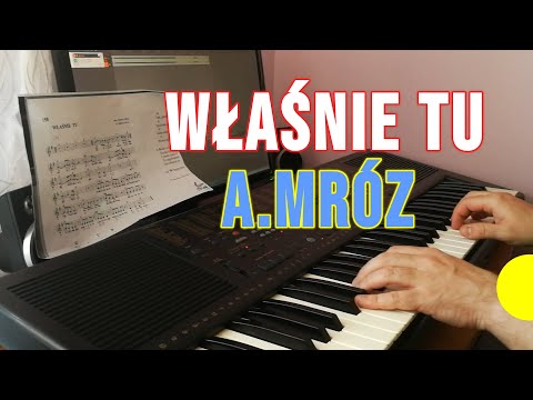 🎧 Andrzej Mróz - WŁAŚNIE TU (Cover) keyboard Technics kn 750 🎧