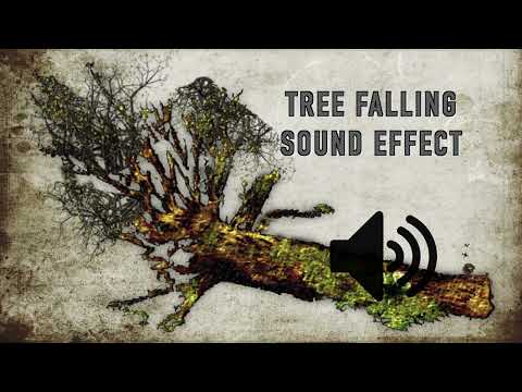 Tree Falling Sound Effect - High Quality