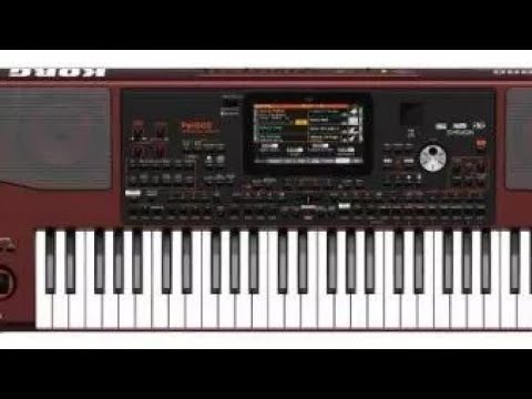KORG PA1000, nu se conecteaza ( no power)