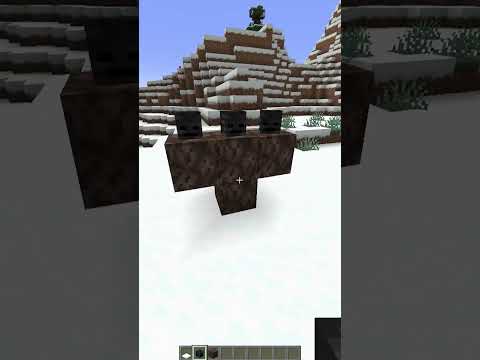 can you spawn the wither in a snow biome? Minecraft Mythbusting