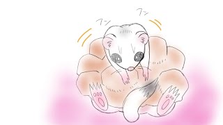 ポケモン実況　こおりパで害悪ウサギ倒したい!!