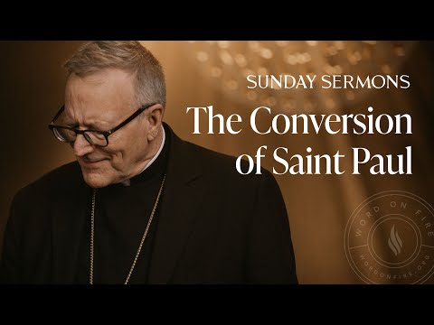 The Conversion of Saint Paul - Bishop Barron's Sunday Sermon