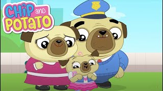 Chip and Potato | Salir con mamá y papá | Desenhos animados para crianças | Assista mais na Netflix