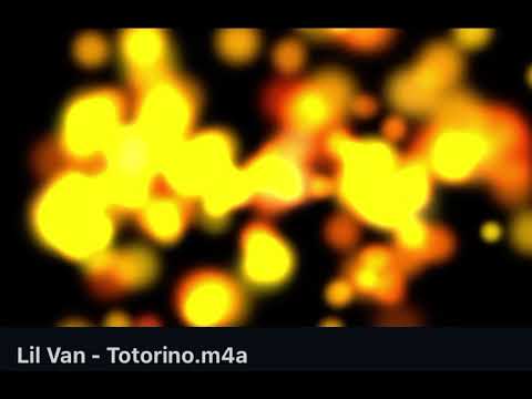 Lil Van - Totorino (LEAK 2022)