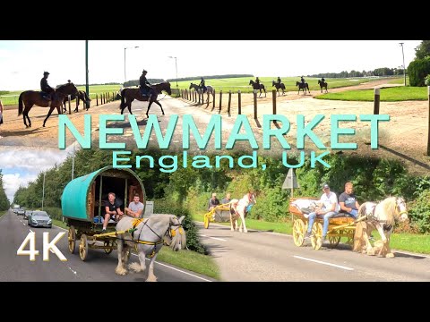 NEWMARKET, England, UK, Road Drive Tour. Race Horses, Racehorse Training Centre.