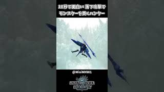 【モンハン】急襲突きフィニッシュ【モンハンアイスボーン】