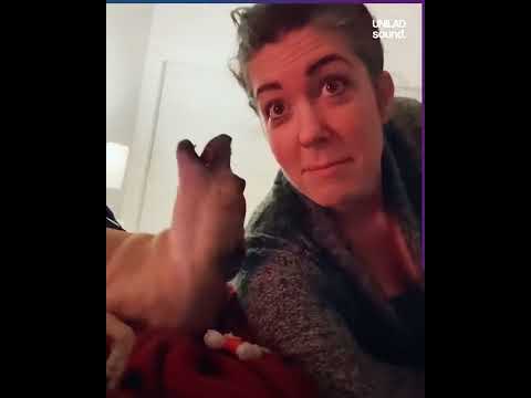 Singing Dog Steals the Show