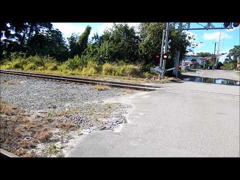Amtrak train passing old overgrown siding