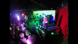 Shrub - Herbivore - Grog Shop Cleveland