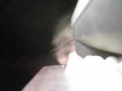 Steppin' Forward in da wooods part1