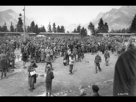 HOLOKAUST U OKUPIRANOJ BAČKOJ - KZ Ebensee i Serbenhalle u Wiener Neustadtu