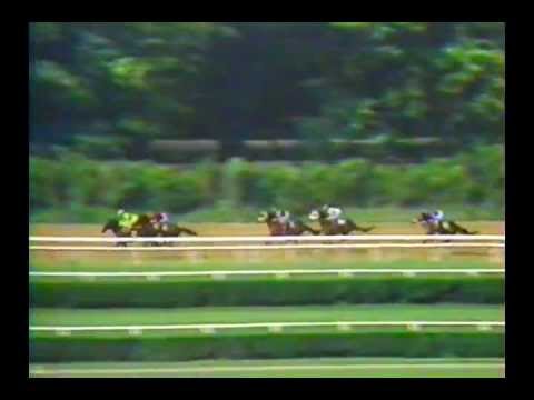1987 Dwyer Stakes - Gone West