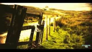 Gérard Manset - Matrice [2014] *