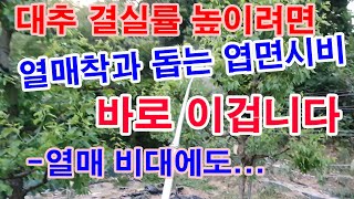 대추 결실률 높이려면 열매 착과 돕는 연변시비 바로 이겁니다. 대추 알맹이 굵게하는 열매 비대에도 이겁니다.…