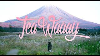 Nell - Let the Hope Shine