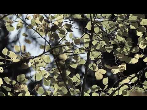 2 минуты назад