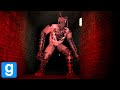 THE NOSEY IS AN ABSOULUTE NIGHTMARE IN GMOD Gmod Hide Seek