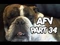 AFV Part 34 Funny Clips Fail Montage Compilation OrangeCabinet