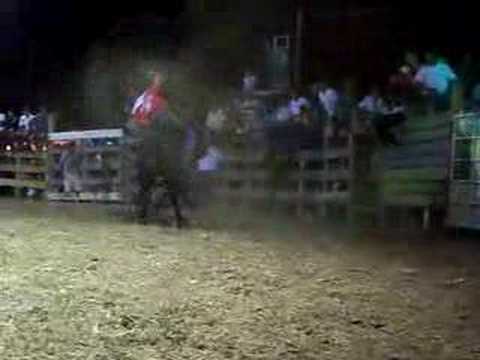 Costa Rican Bullfight