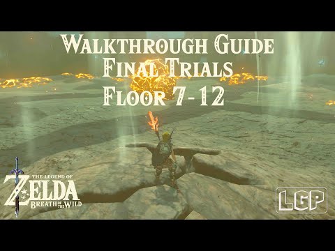 Breath of the Wild | EX Trial of the Sword [DLC] Final Trials Guide 7-12