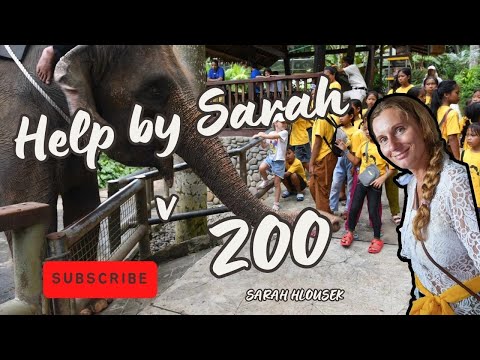 VÝLET DO ZOO