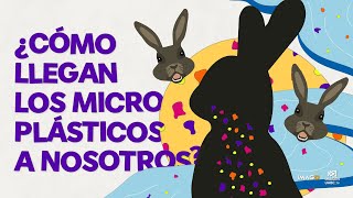 Microplásticos textiles | IMAGO