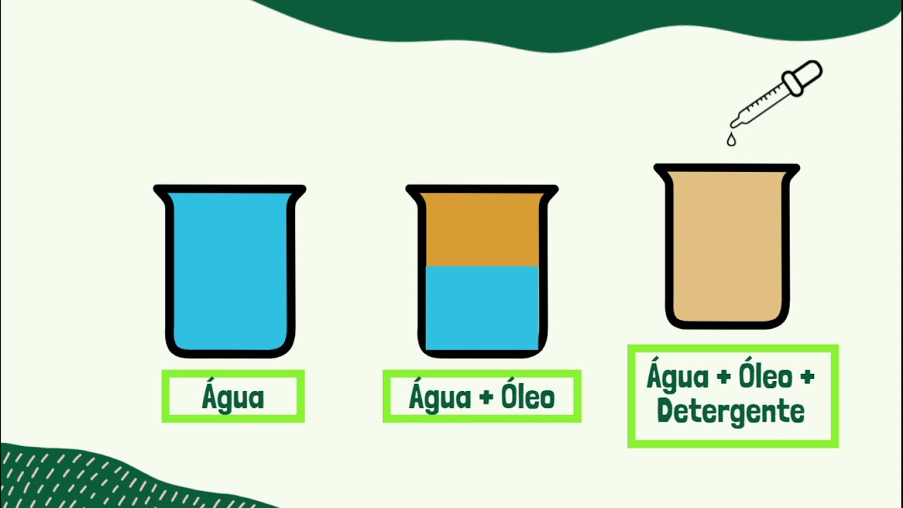 Digestão e absorção de lipídios