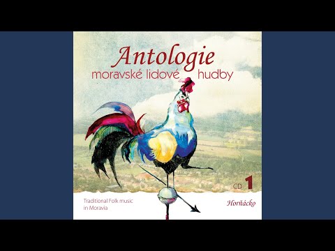 Já bysem k vám chodívávał