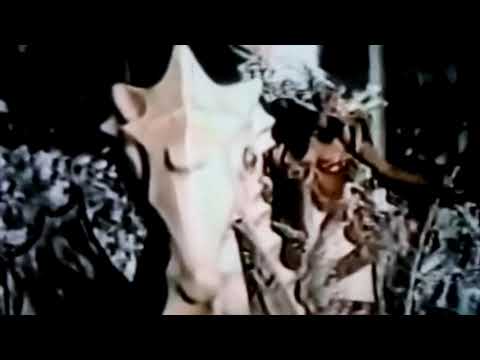 PORTELA 3° LUGAR EM 1981..RIO DE JANEIRO...LEONE PRODUÇÕES.