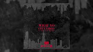Lil Durk x Tee Grizzley  &quot;What Yo City Like?&quot; (Official Audio)
