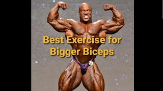 21's bicep curl best exercise for your bicep muscle...
