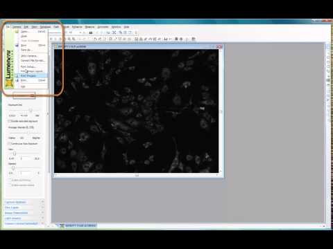 INFINITY ANALYZE 6.5.0 QUICK TIP: New Features in  Release 6.5.0