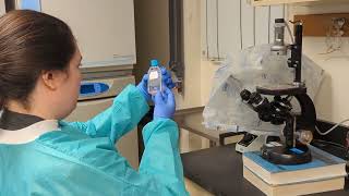 Medical laboratory careers at Akron Children's