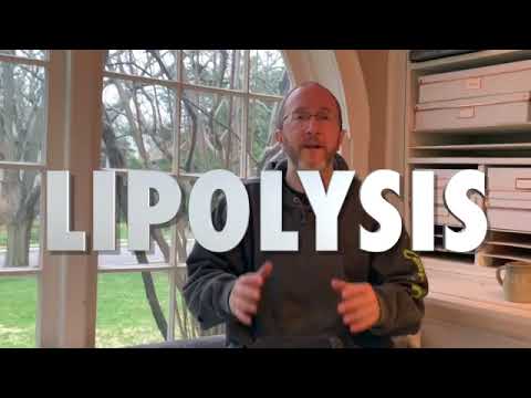 Multiple Sclerosis and Intermittent Fasting: An Update!