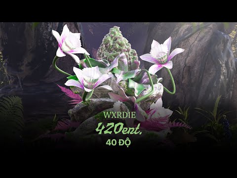 Wxrdie - 40 ĐỘ (ft.  RPT Spidey) [prod. 2pillz]