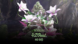 Wxrdie - 40 ĐỘ (ft.  RPT Spidey) [prod. 2pillz]