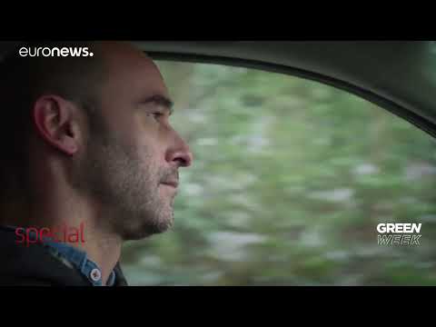 Euronews  - Sierra de Guadarrama or the giant rock that protects Madrid.