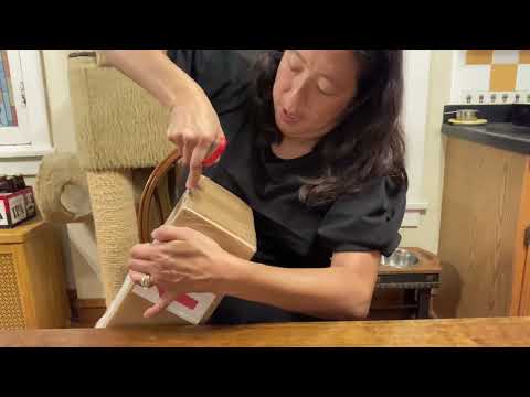 Orchid Hunters: Richard Mueller Hybrid Flask Unboxing