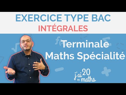 Intégrales - Exercice Type Bac - Terminale Maths Spécialité