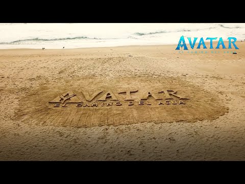 Thumbnail of the video: Intervención en Playa Quintay | Región de Valparaíso