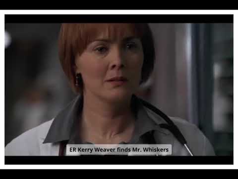 ER Scene - Mr. Whiskers