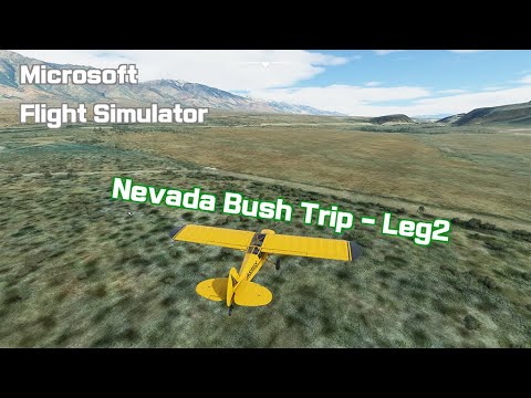 Microsoft Flight Simulator 2020 - Nevada Bush Trip - Leg 2